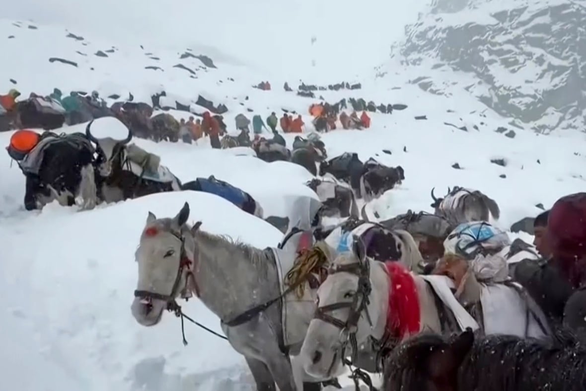 Dozens of people in winter clothes and various animals are shown in a mountainous setting.
