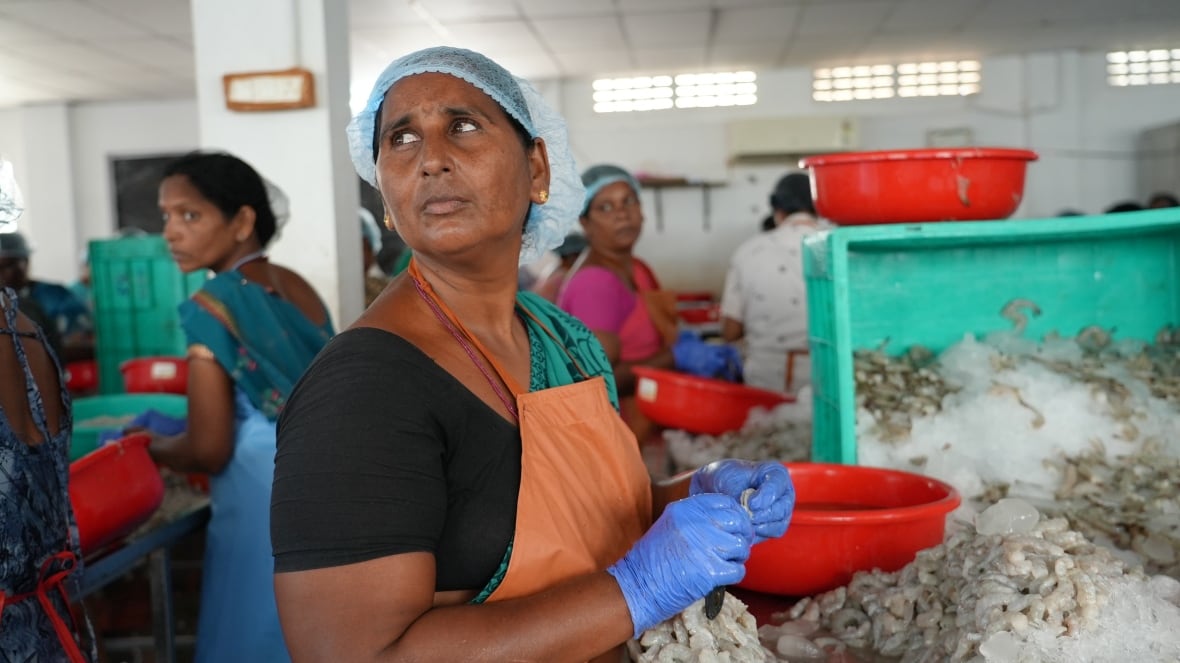 The person looks back to their right shoulder as they stand in front of a heap of shrimp, showing one.