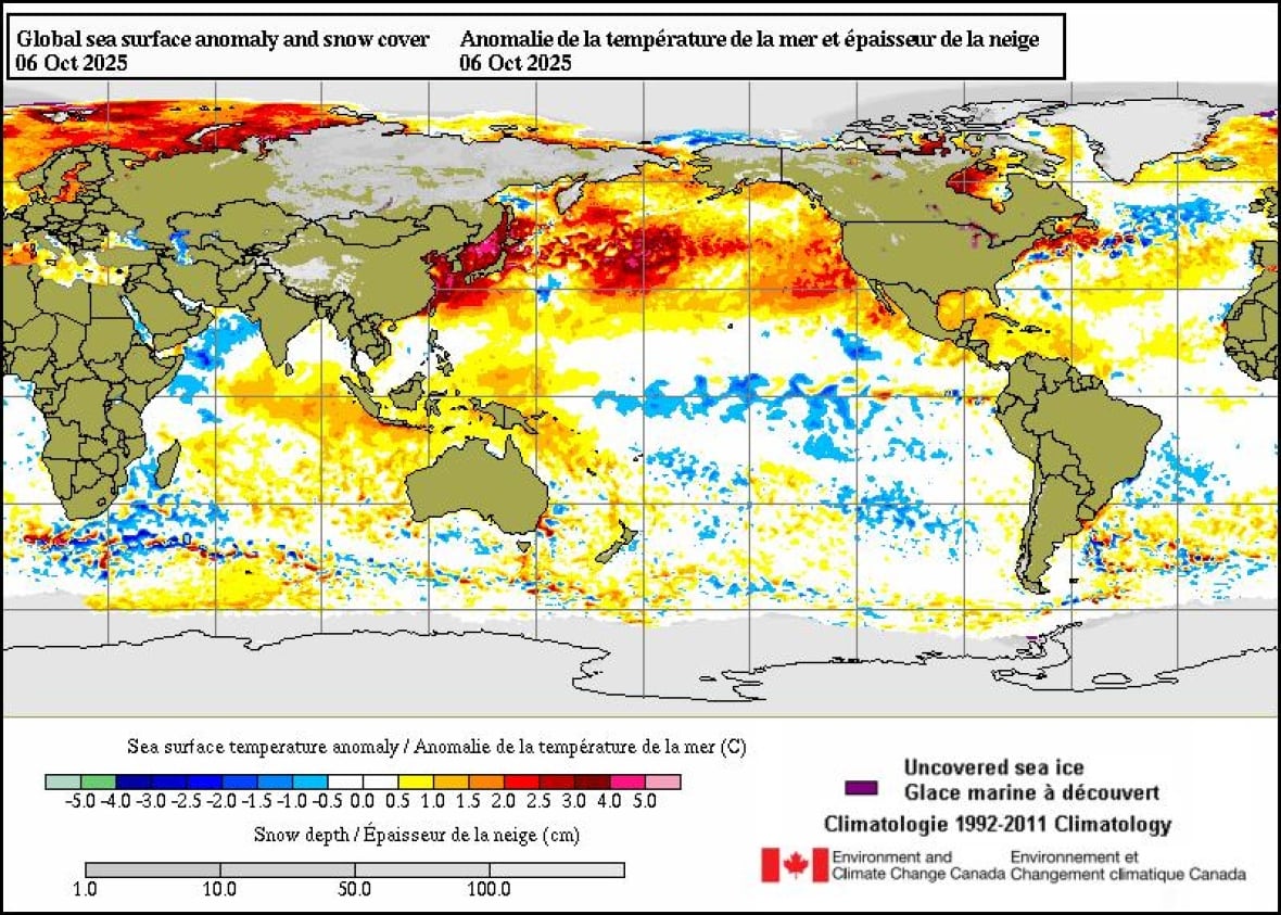 A graphic of environment and climate change Canada reflects sea surface temperature discrepancy for October 6, 2025. A large area of ​​unusually warm water can be seen in the Northern Pacific Ocean extending from the banks of China and Japan to North America.