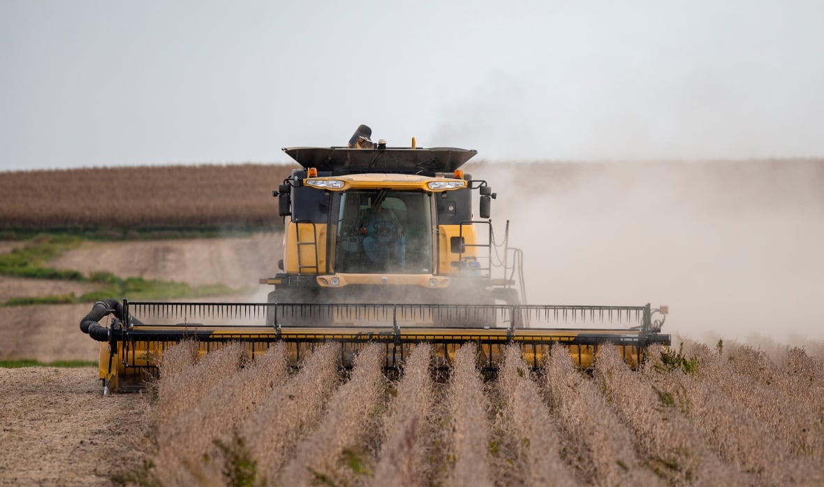 It combines moves across a field of crops and kicking dust. 