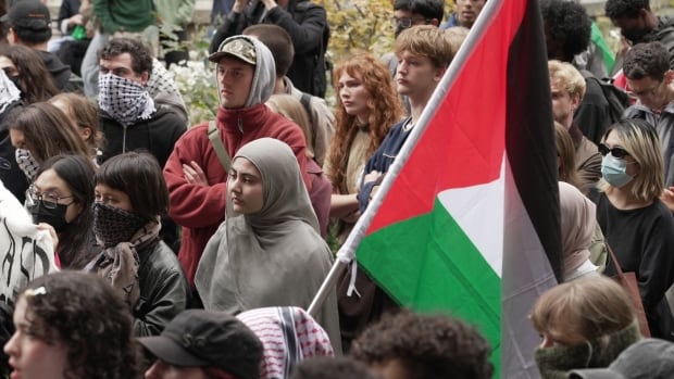 Hundreds gathered in London to protest the war on Gaza on Tuesday, despite calls from government officials who called for the rallies to be cancelled. 