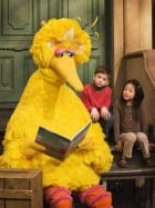 big-bird-cp-6395077