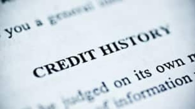 Credit monitoring companies such as Equifax and TransUnion offer consumers a peek at their credit histories.