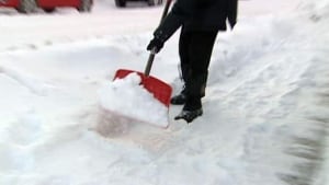 sk-shovel-snow-lg
