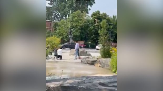 Family of Jewish man attacked in Montreal park speaks out