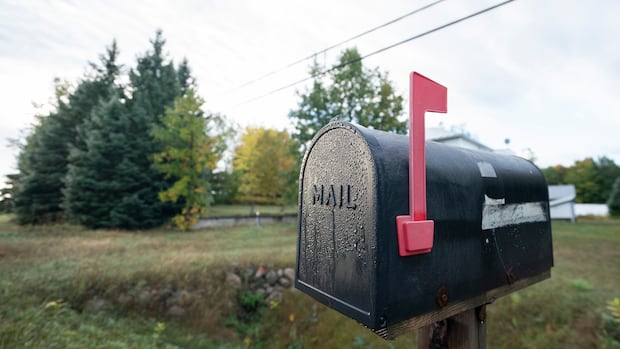 Peel police charge 8 people after more than $400k worth of mail allegedly stolen | CBC News