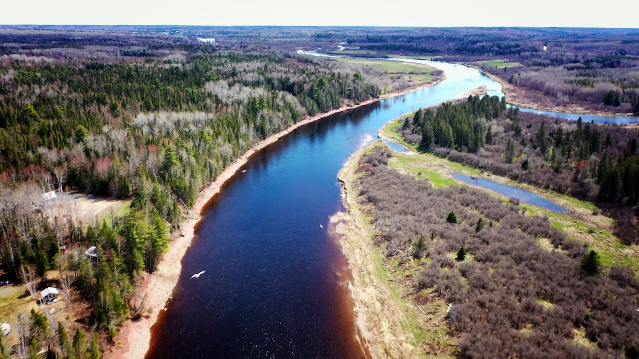 Miramichi River
