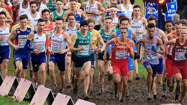 Participants run on the course during the men's senior race during the European cross-country championships at the Park of Laeken in Brussels, Belgium on December 10, 2023.