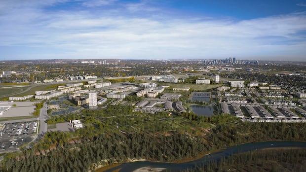 A rendering of the overall Taza Park development A rendering of land covered in trees and homes.