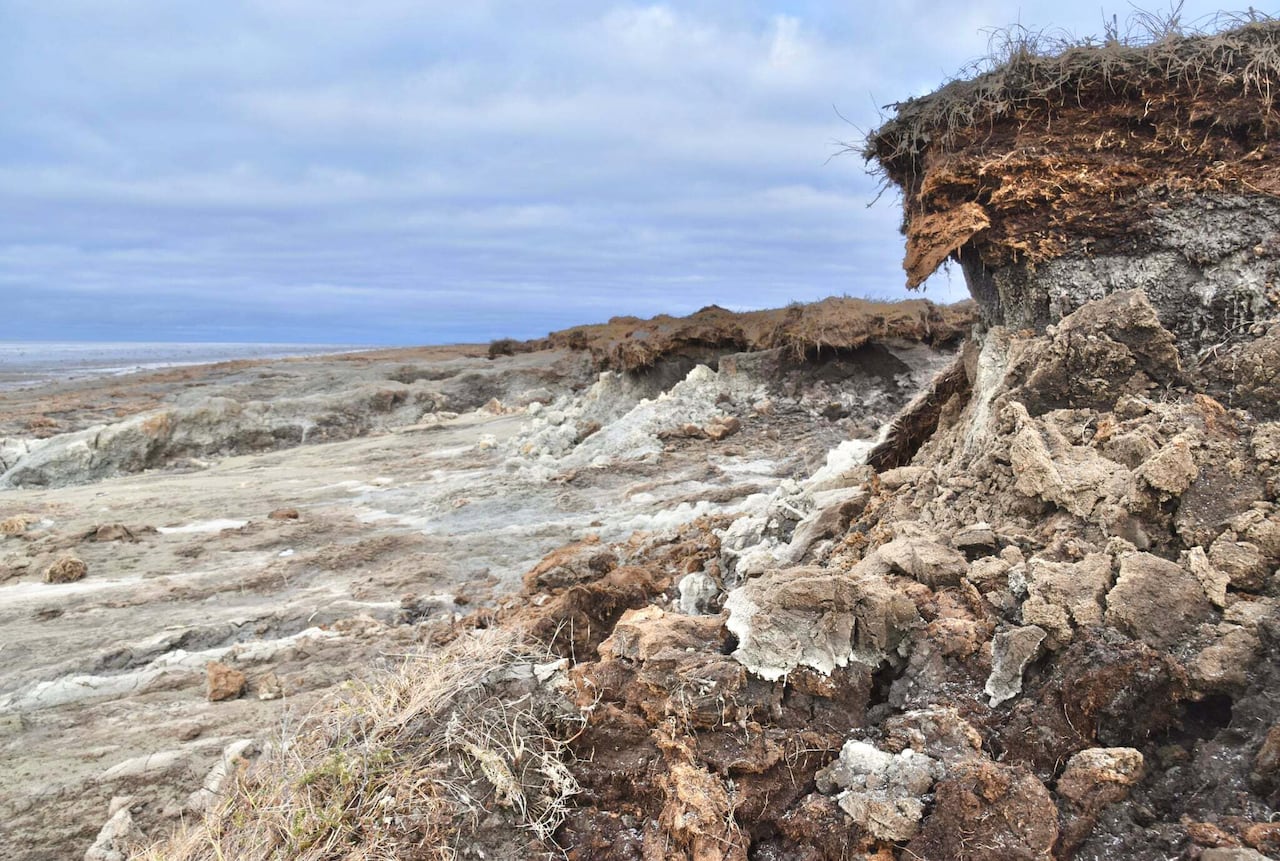 A clay bluff near the ocean.