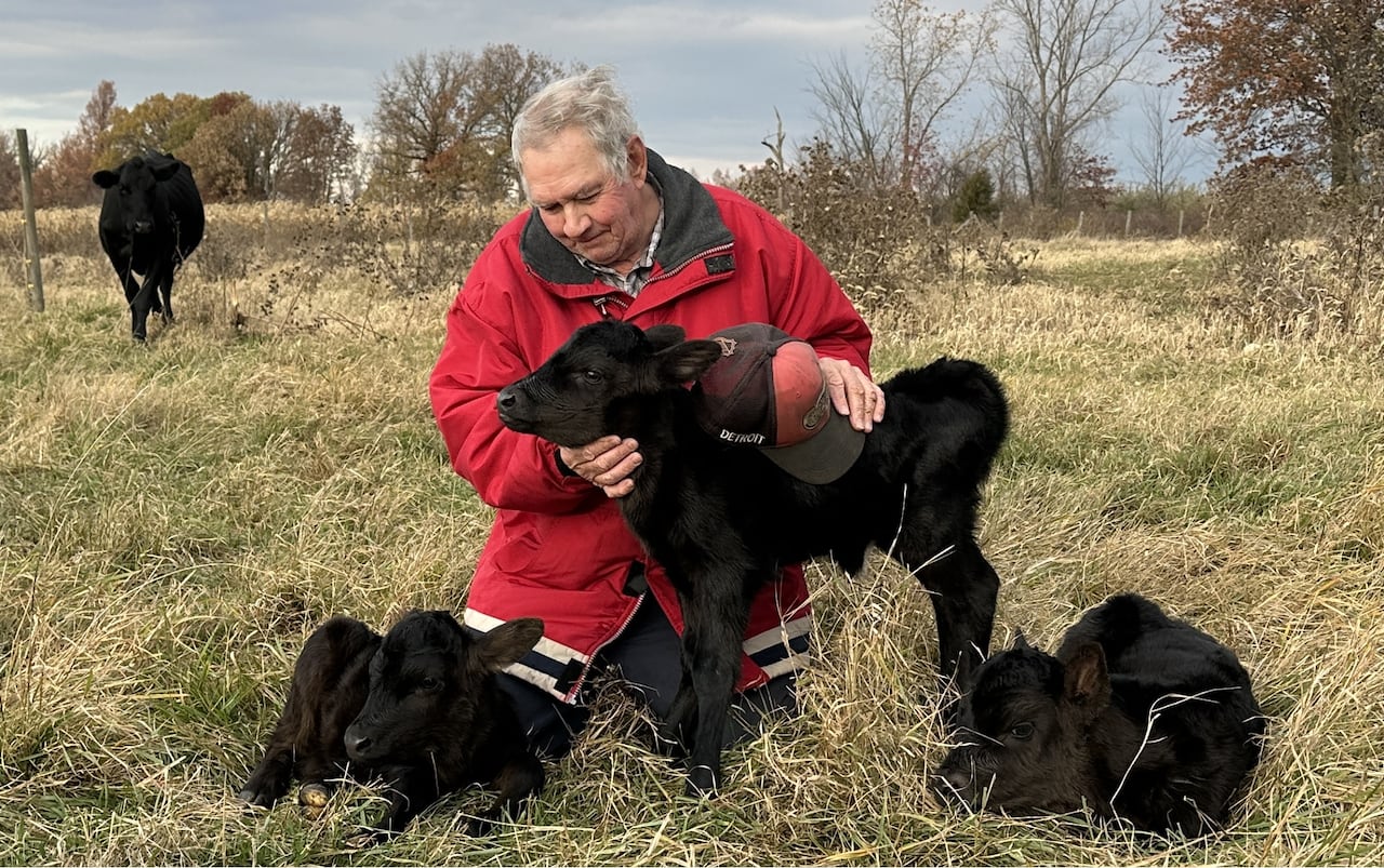 A husbandman with 3 calves.