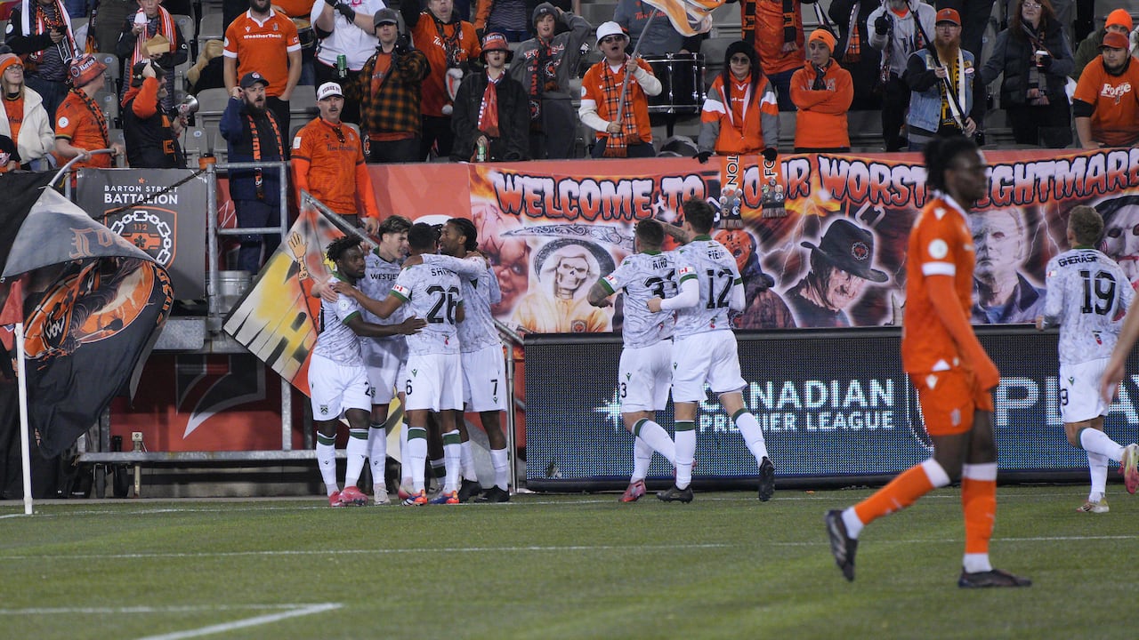 Soccer/football players celebrate on the field.