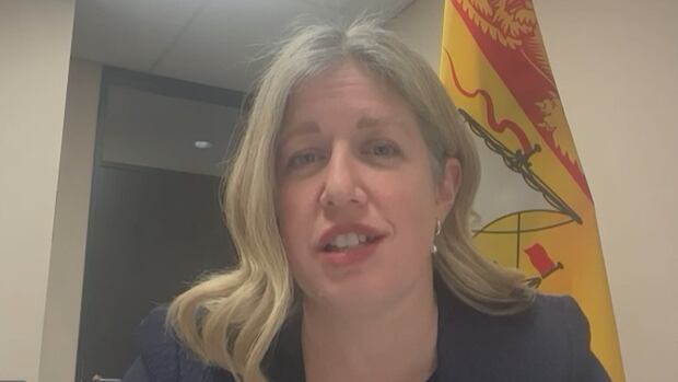 Premier Susan Holt says she's working to protect New Brunswick jobs. premier susan holt