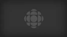Child porn crackdown | CBC.ca