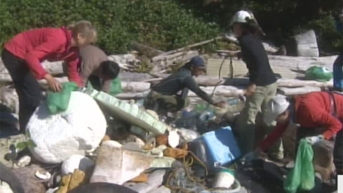 Tsunami tracker okinawa