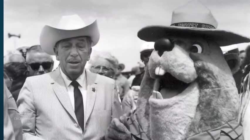 Backstory on Bertie Beaver | CBC.ca