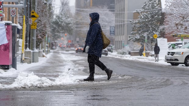 Substantial Sunday snowfall possible in and around Ottawa-Gatineau