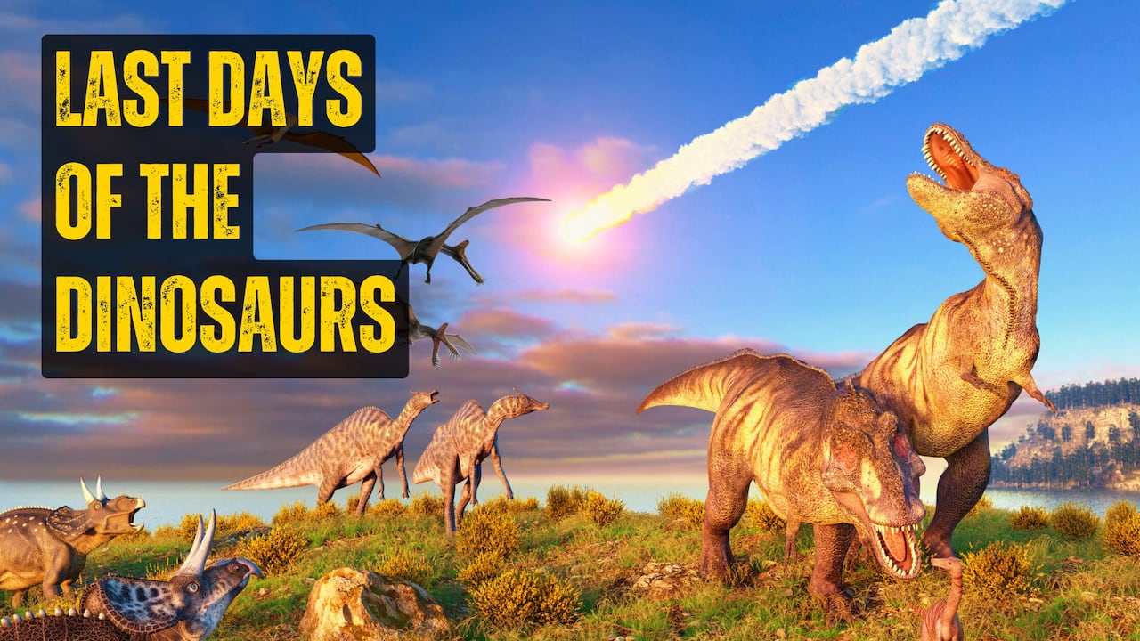 what-happened-to-the-dinosaurs-tell-me-about-watch-cbc-kids