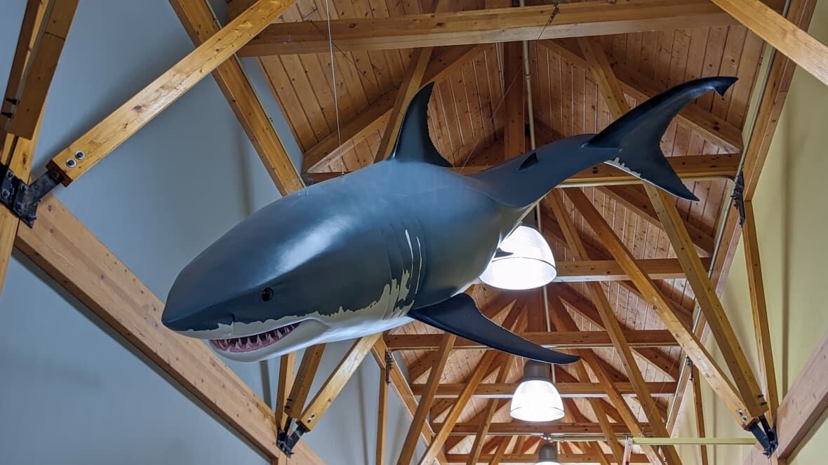 Greenwich art exhibit lets you get up close with creatures of the deep