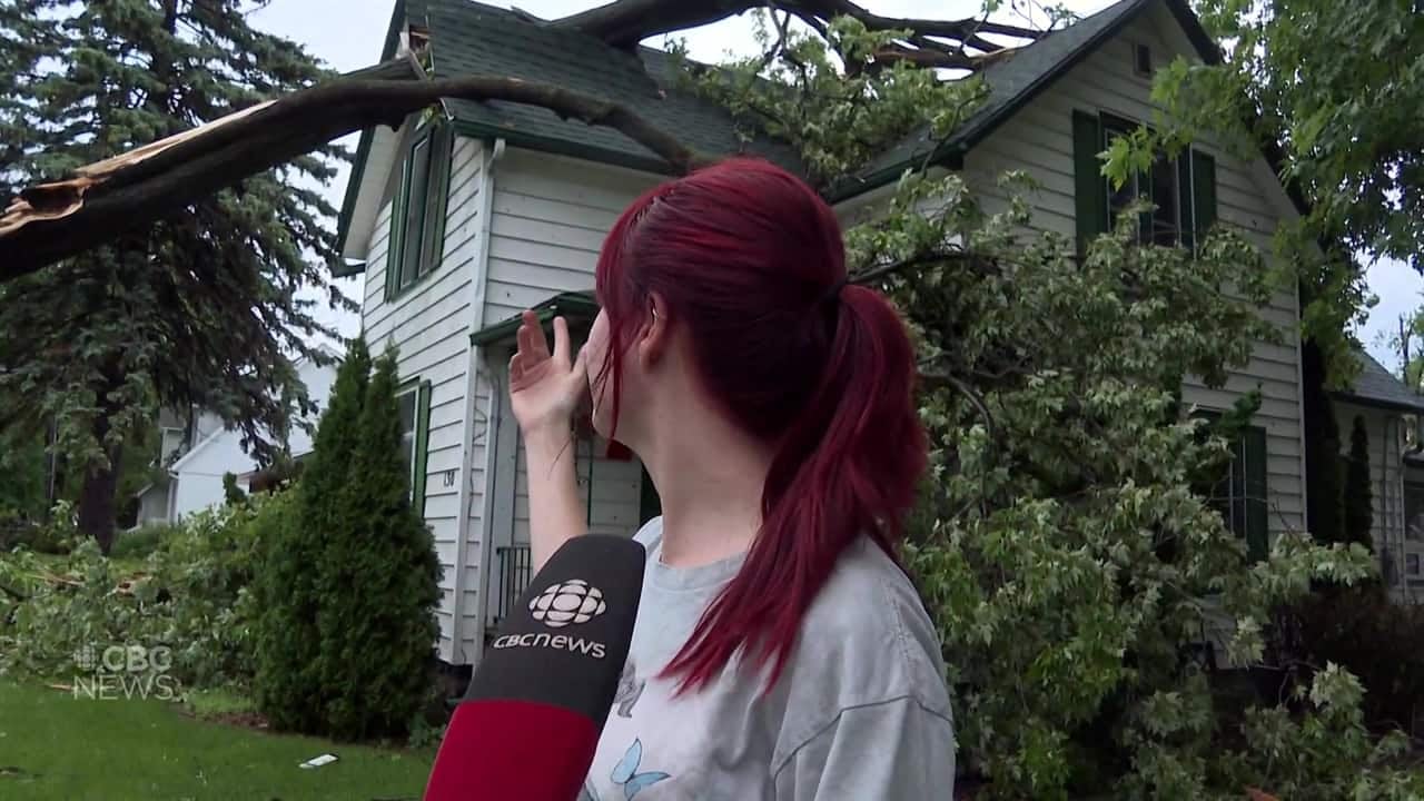 Fierce storm downs huge trees in southern Ontario | CBC.ca