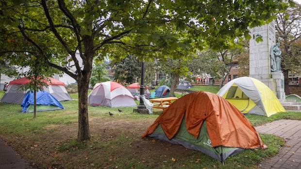 Winnipeg councillor, outreach advocate look to Halifax for lessons on managing homeless encampments