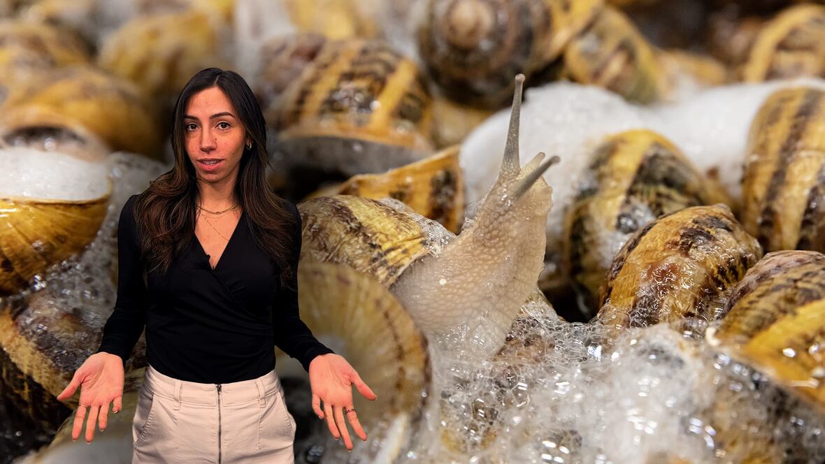 Can smearing snail slime on your face make you look younger? | CBC.ca