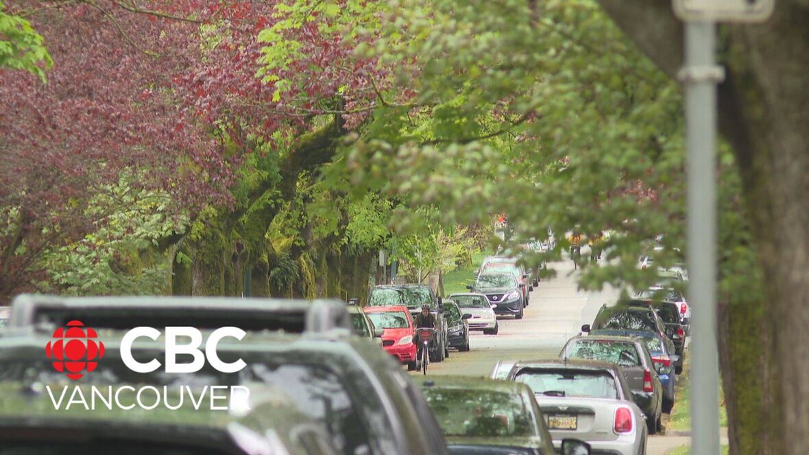 Metro Vancouver tree canopy in decline: report | CBC.ca