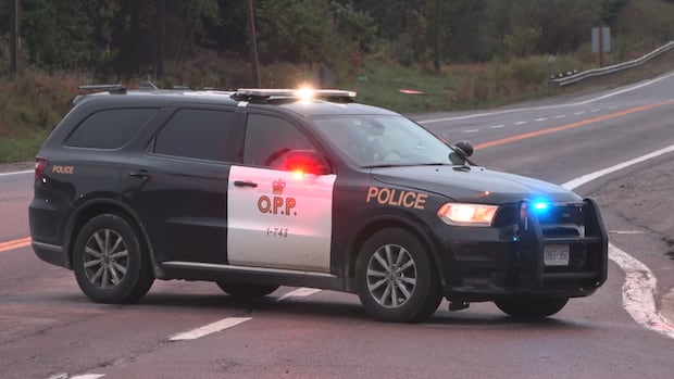Three dead after fatal collision near Tillsonburg, Ont.: OPP | CBC News