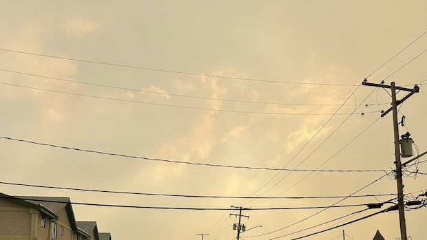 Here’s how wildfire smoke exposure can impact your health Here’s how wildfire smoke exposure can impact your health