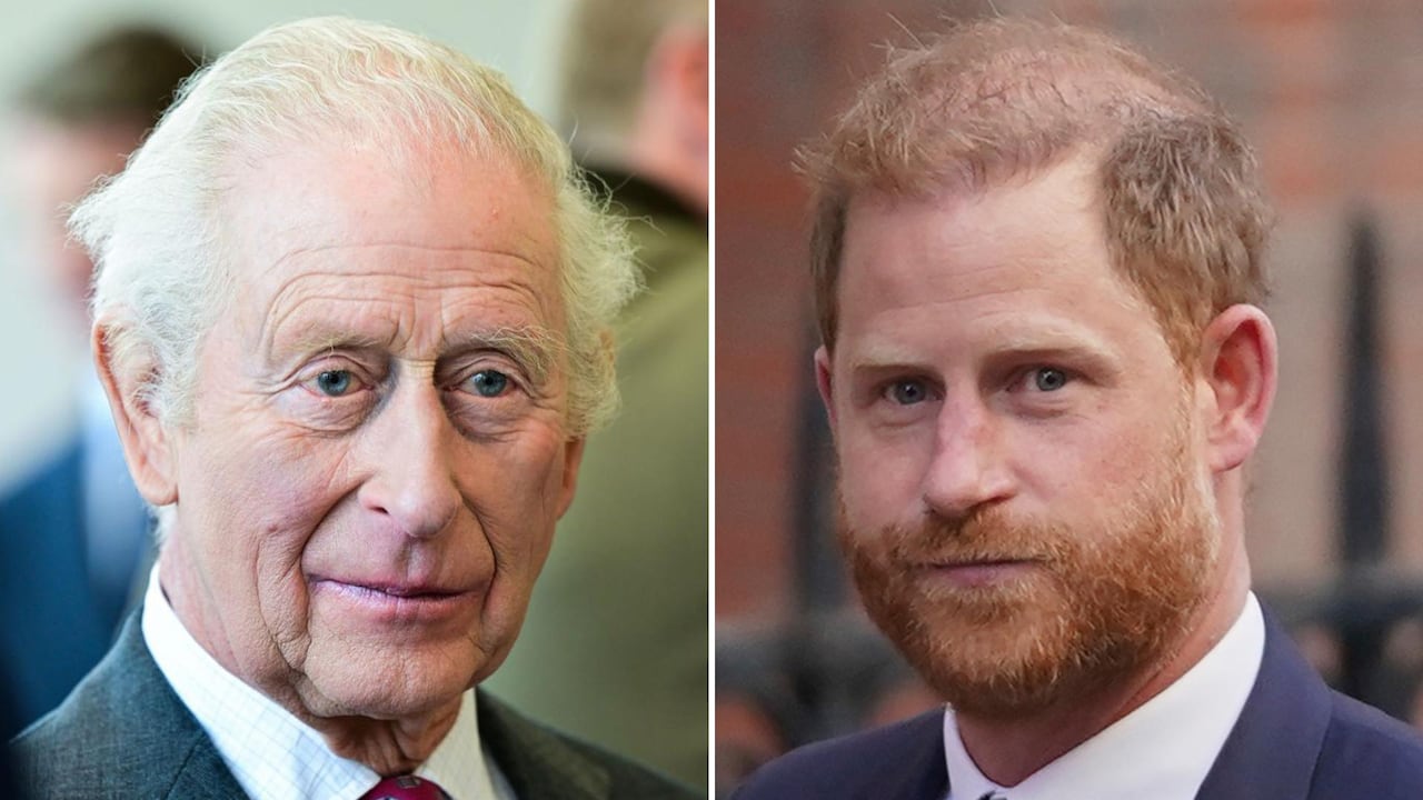 Staff for King Charles and Prince Harry met. Is a royal reconciliation in  the air? | CBC News