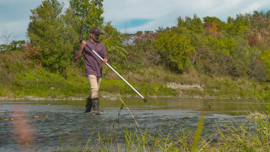 Biologist studying the Nicolet River water level