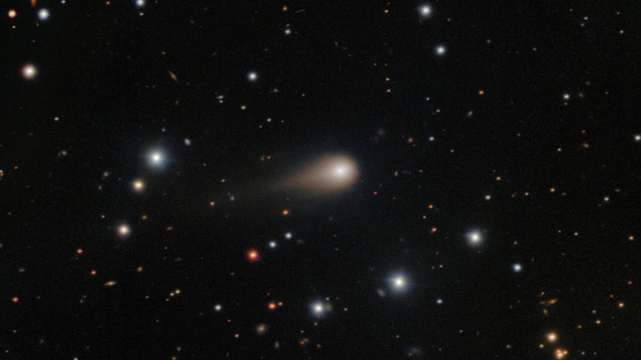 Here's what astronomers know so far about the 3rd interstellar visitor ever  found | CBC News