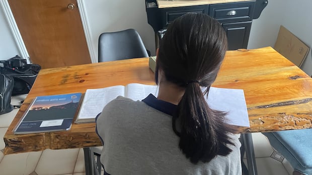 Anti-Israel posts got a Montreal high school student suspended. She says she's being censored