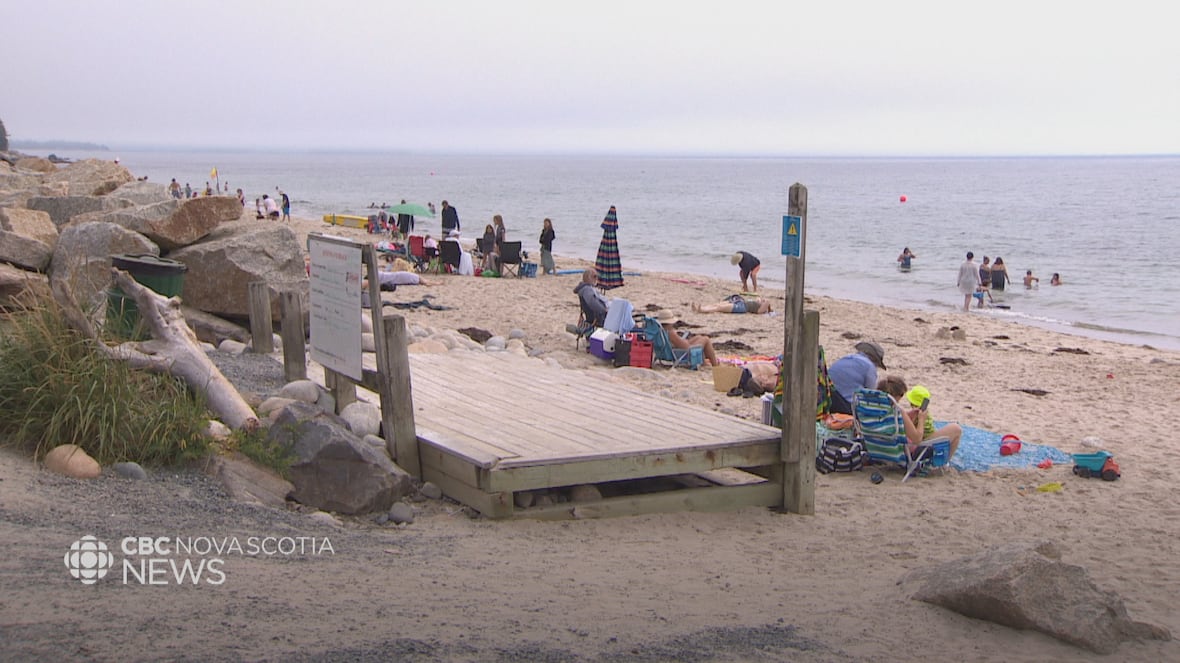 Shark warning signs could be coming to Nova Scotia beaches this summer