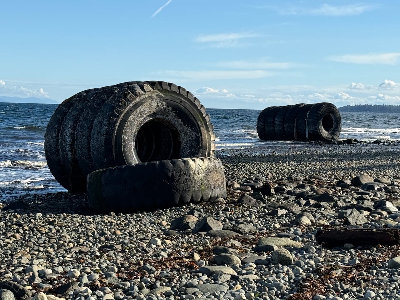 11 very large tires sit in shallow water on the beach