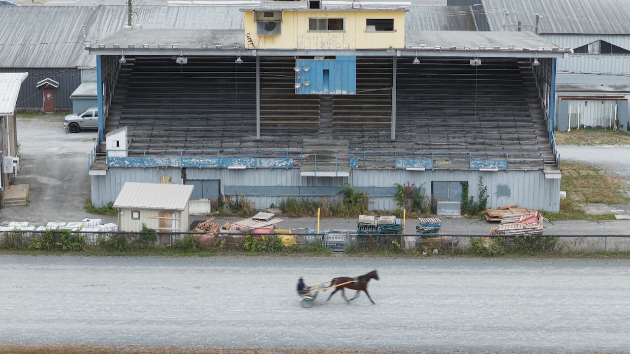 Picture of old grandstand at a horse racing track.