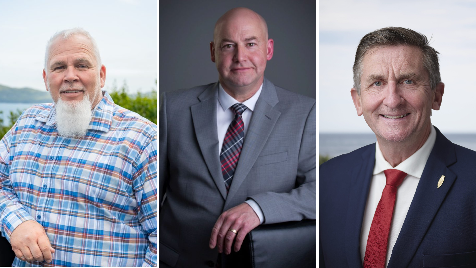 Liberals call for recounts in 3 closely contested districts; The Liberal Party of Newfoundland and Labrador has requested recounts in the districts of Placentia West-Bellevue, Topsail-Paradise and Lewisporte-Twillingate\. Brian Keating, Dan Bobbett and Derek Bennett are the Liberal candidates in those districts\.