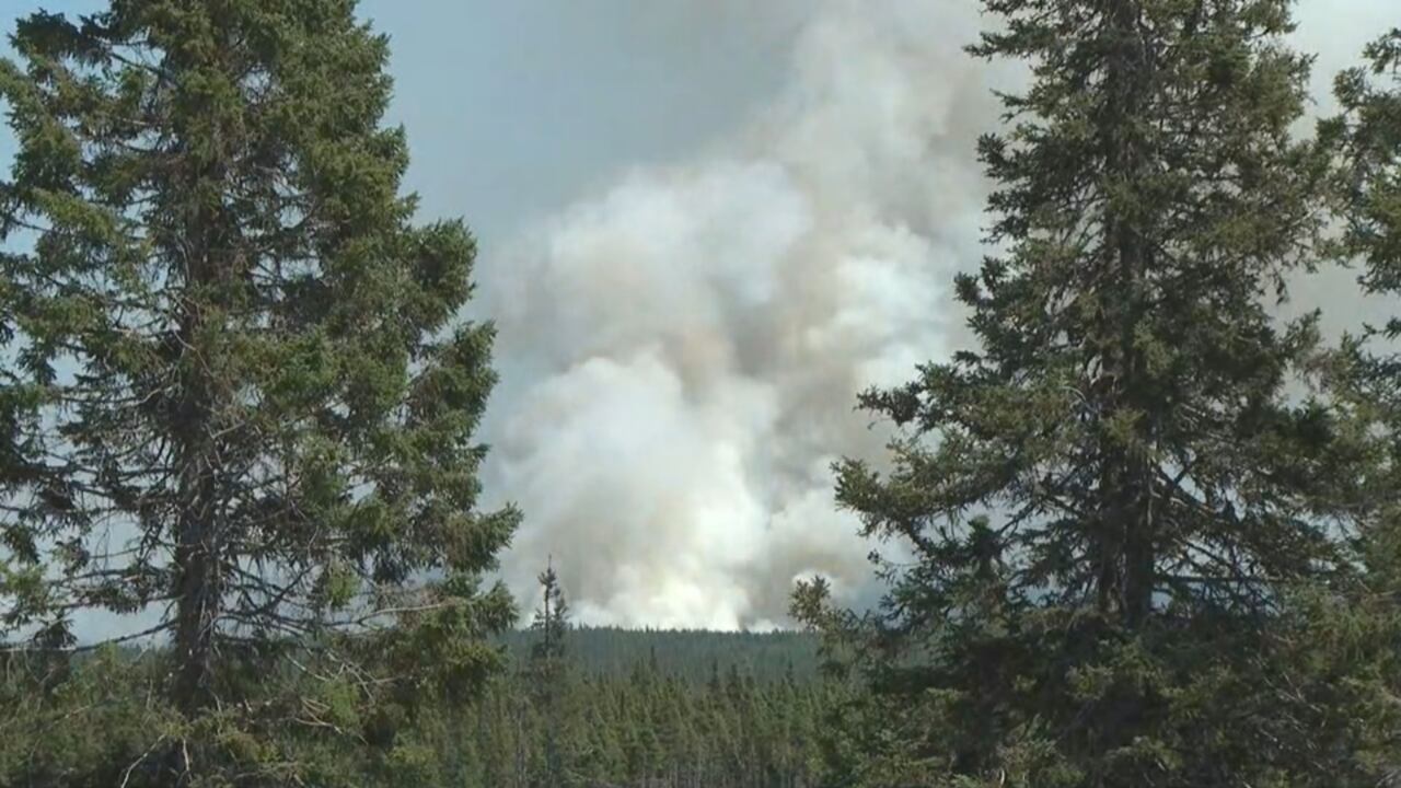 A burning wildfire