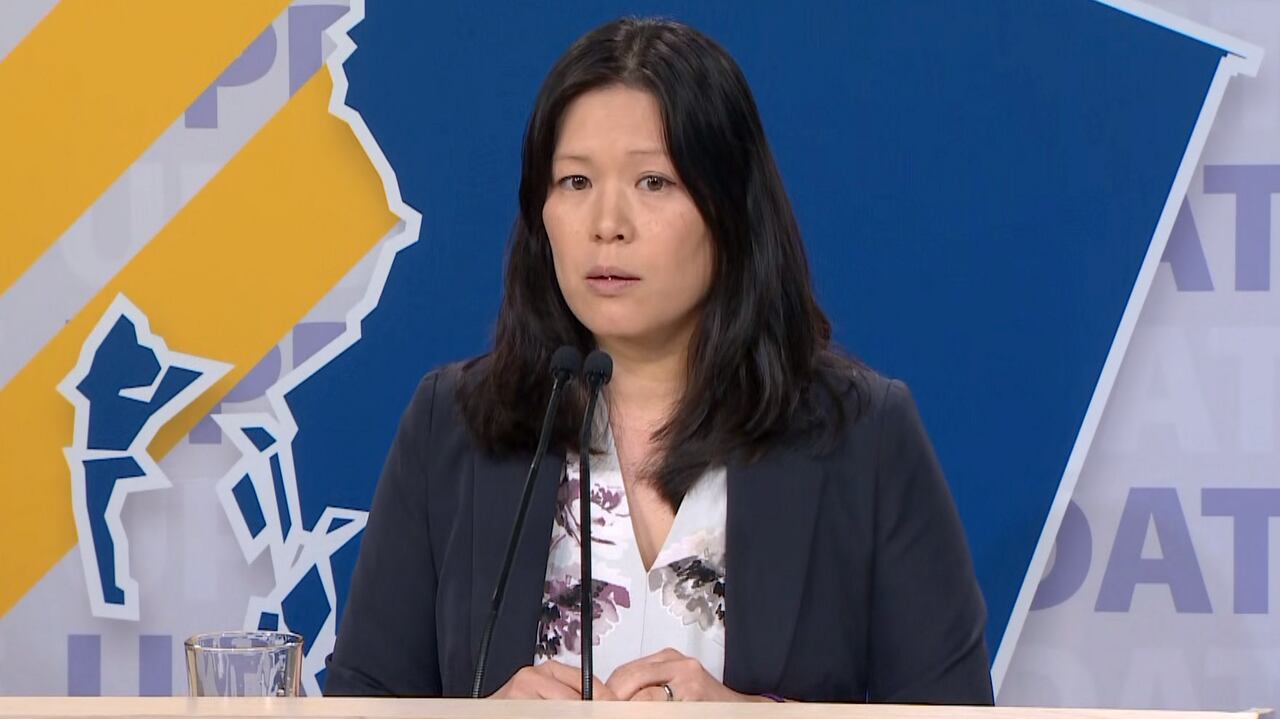 B.C. officials provide update on wildfire expected to reach Fort Nelson Monday | CBC.ca