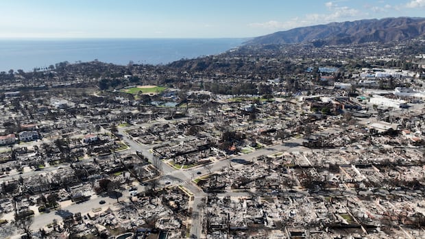 A neighbourhood by the ocean razed by a fire is seen from above.