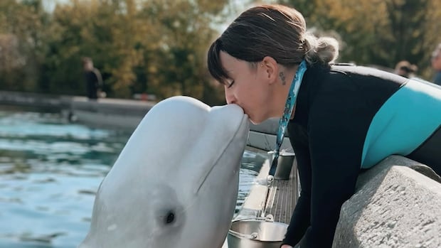 Kristy Burgess is shown in this undated handout photo, kissing a beluga whale at Marineland in Niagara Falls, Ont. Kristy Burgess is shown in this undated handout photo, kissing a beluga whale at Marineland in Niagara Falls, Ont.