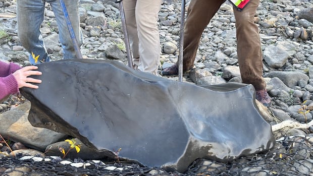 The ichthyosaur skull being recovered from the Kiskatinaw River valley. Weighing roughly 700 kilograms it had to be airlifted by helicopter. 