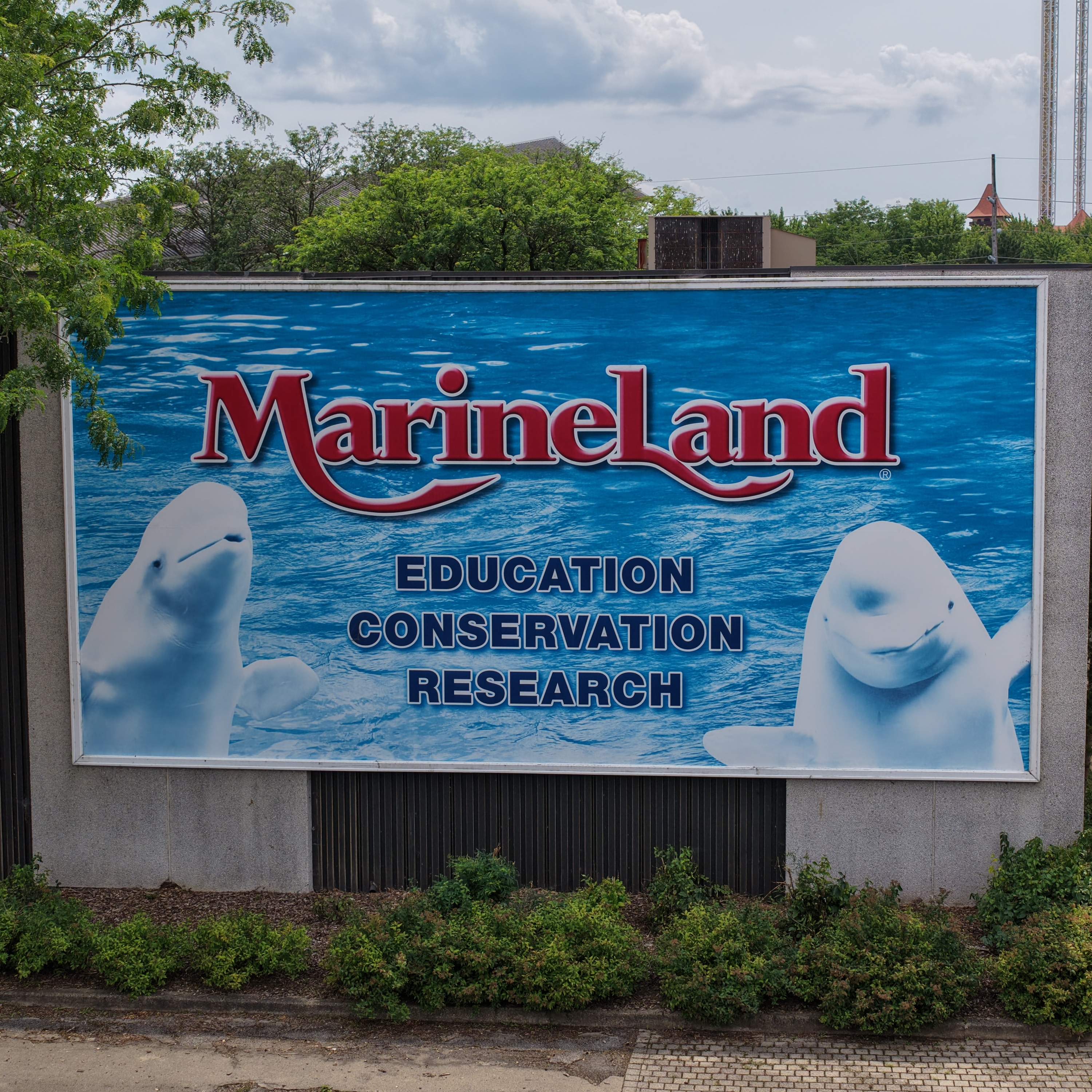 Marineland’s scandalous decline