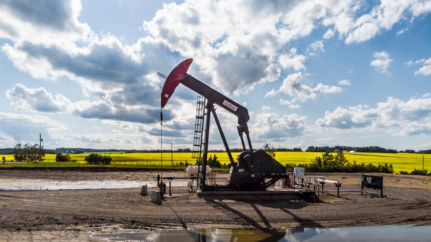A pumpjack pulls oil in front of a canola field on a sunny day.