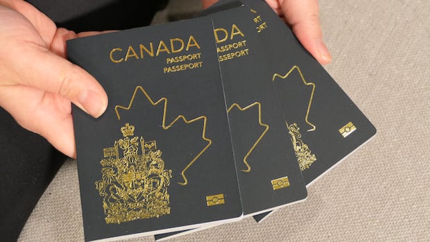 A person hold a group of passports with blue covers and a gold maple leaf