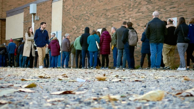 Experts say Alberta rule changes to blame for long municipal voting lines