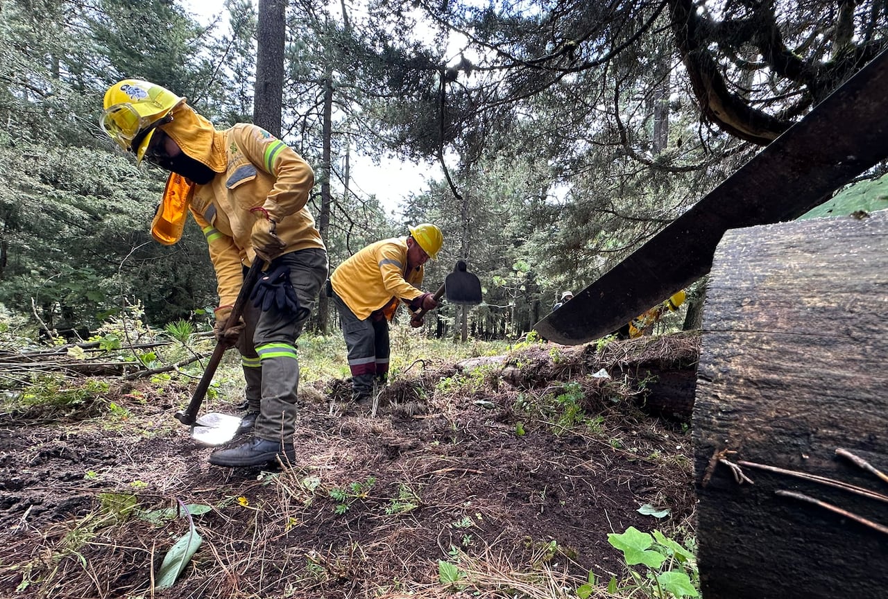 Workers dressed in yellow jackets and helmets dig into the soil with hoes