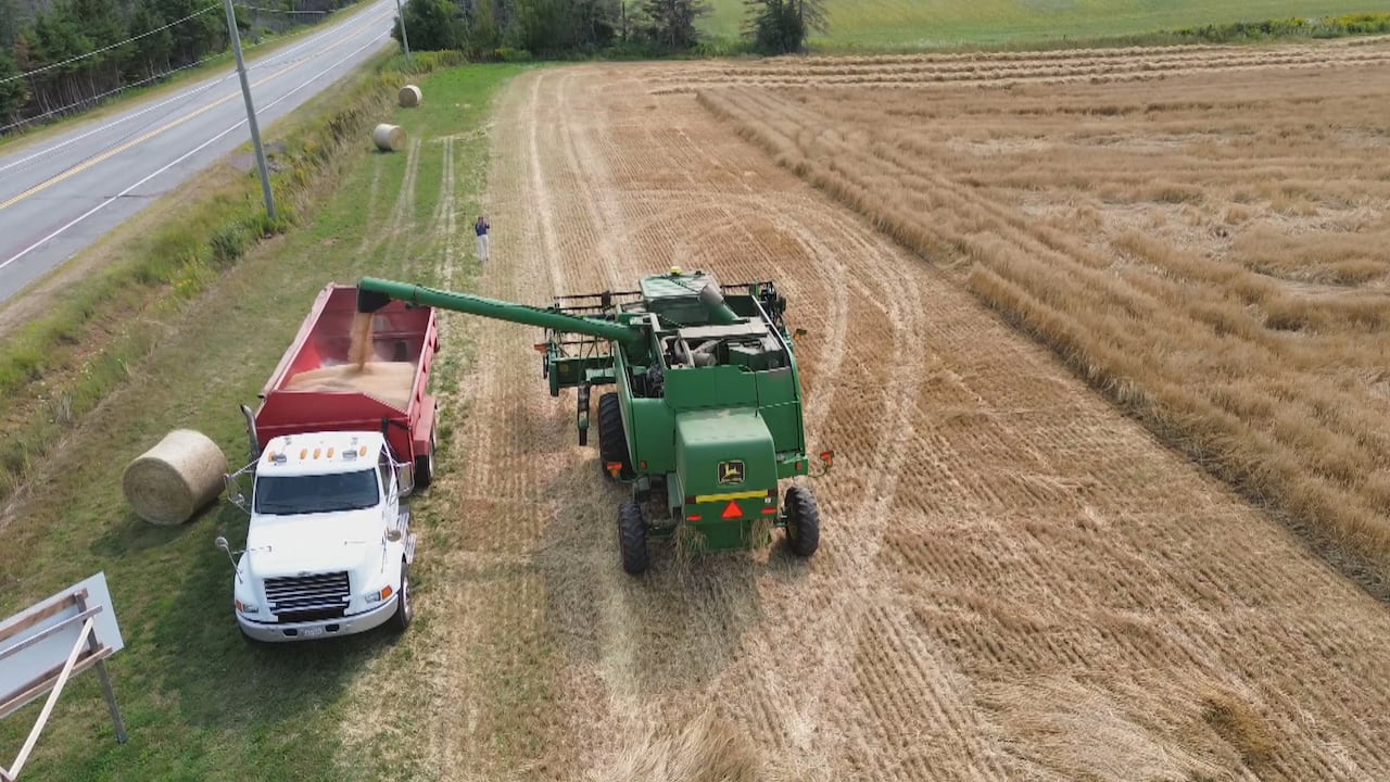 ‘Food is a gift’: P.E.I. farmer’s wheat crop is helping to reduce world hunger