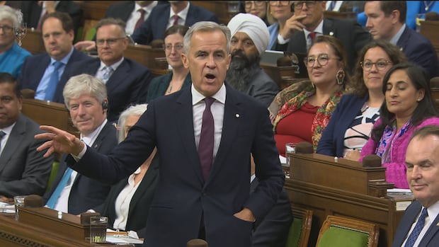 Prime Minister Carney rises in House of Commons