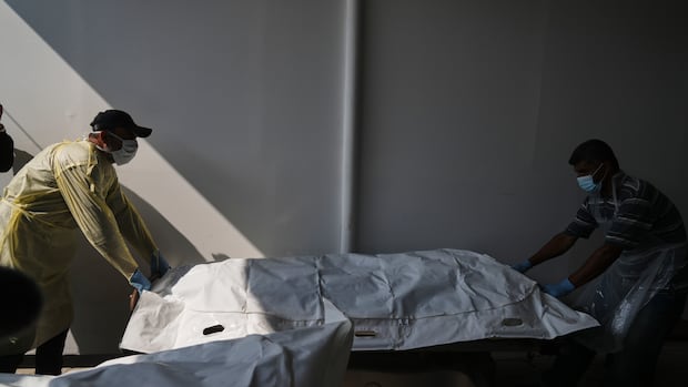 Israeli fire kills 3 in Gaza, reports say, as hospital receives Palestinian bodies.